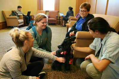 Law students learn about pet therapy