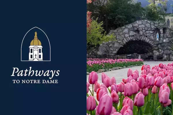 Pathways to ND Logo